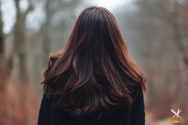 Dark Espresso Brown hair color