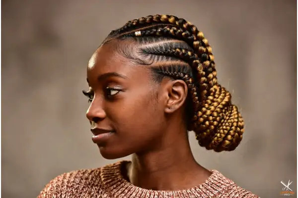 Winter Braided Hairstyles for Black Women